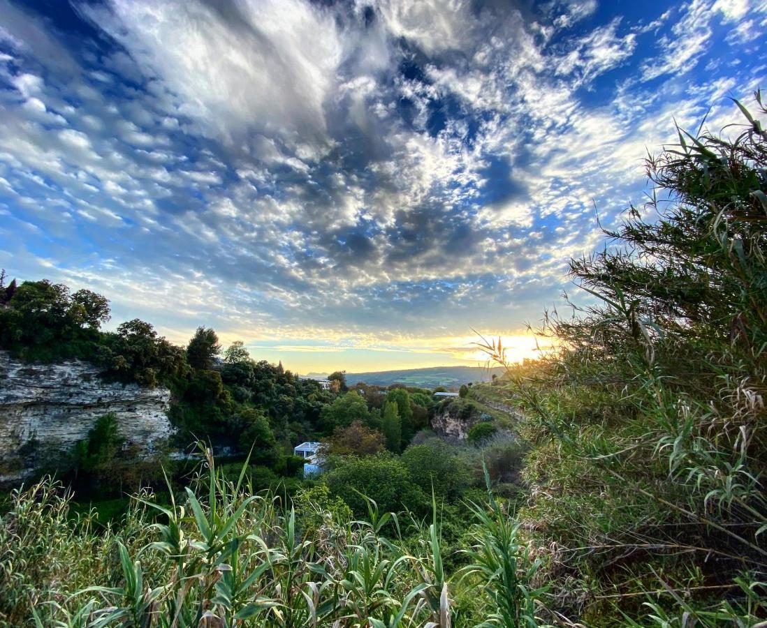 Villa Ignacia B&B - Naturaleza Entre Ronda Y Setenil Arriate Exterior foto